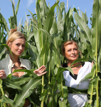Dominique and Francis – the corn fields
