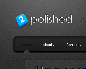 polished - by Elegant Themes